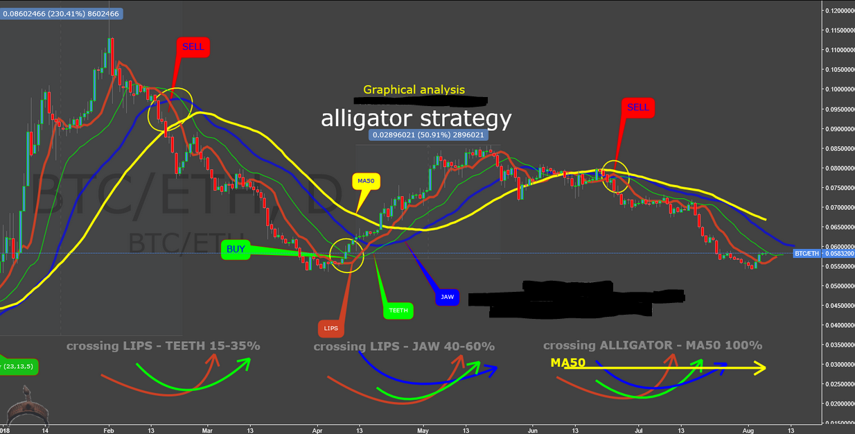 Alligator indicator strategy
