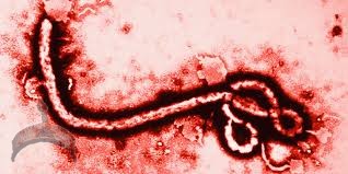 ebola1