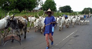 Fulani Herdsmen