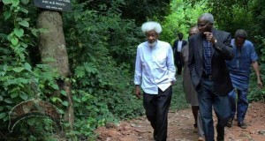 wole soyinka