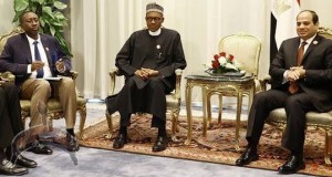 buhari-in-egypt