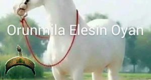 elesin