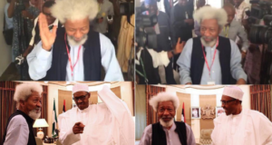 prof wole soyinka meets buhari