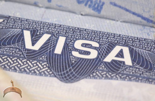 u.s official visa fraud