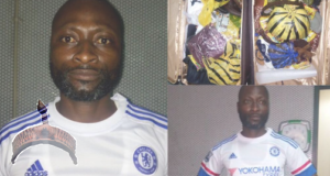 Man Nabbed With ₦31m Worth Of Drugs On His Way To South Africa .