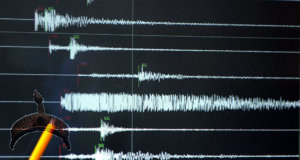 magnitude scale