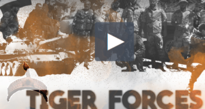 syria tiger forces