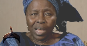 Professor Sophie Oluwole