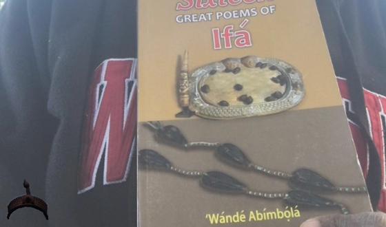 Sixteen Great Poems of Ifa  by Wande Abimbola