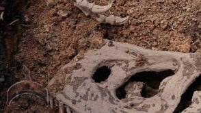 Photos: Dinosaurs Bones found in Mowe, Lagos