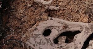 Photos: Dinosaurs Bones found in Mowe, Lagos