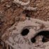 Photos: Dinosaurs Bones found in Mowe, Lagos