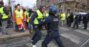 Yellow-Vests