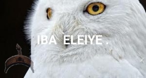 iba eleye