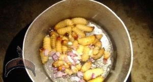 Rhino larvae,good for human consumption excellent for fish.