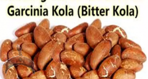 Top 11 Health Tricks With Bitter Kola Every Mother Should Know