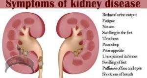 Clean Your Kidney Now, Avoid Dialysis