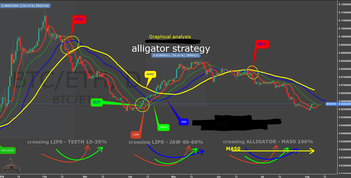 Williams Alligator Strategy