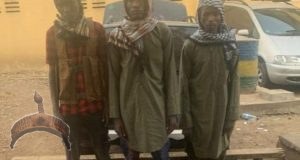 Terrorists Arrested In North