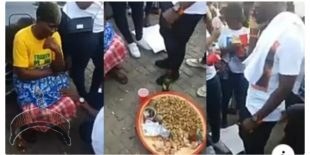 grandnut seller