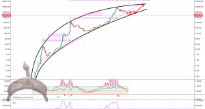 btc ATH