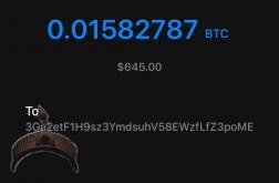 Flash coin software