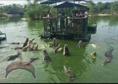Crocodile Farm
