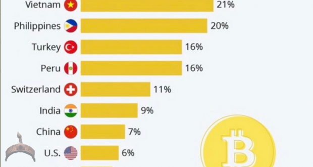 2020 percentage of crypto users