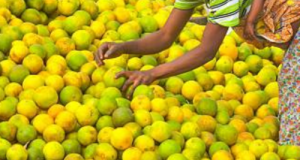 Oranges friom nigeria