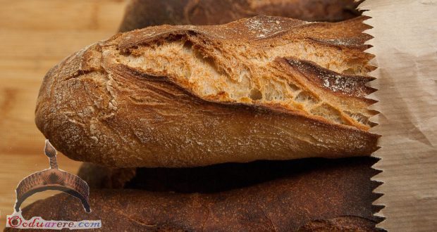 french baguette bread-