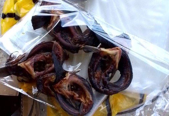 Dried Smoked Cooked Catfish 