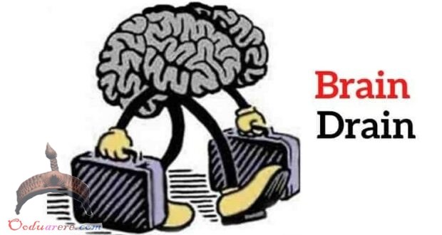 Brain Drain