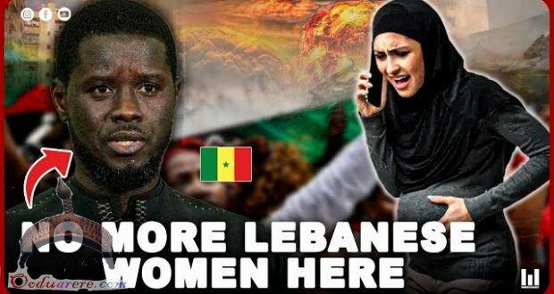 no more lebanese