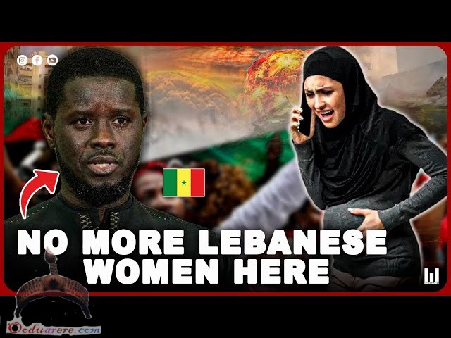 no more lebanese