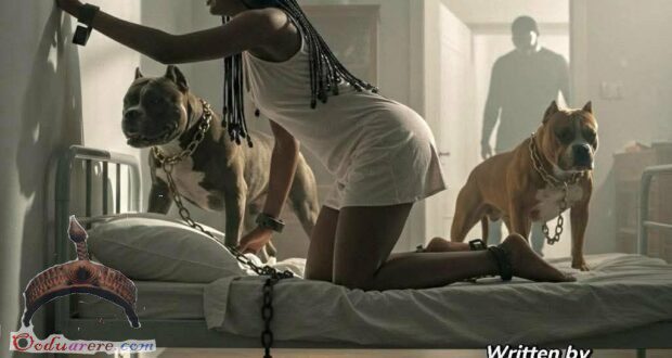 the dog business