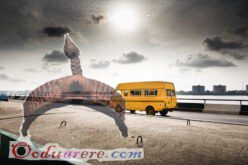3rdmainland abridge danfo