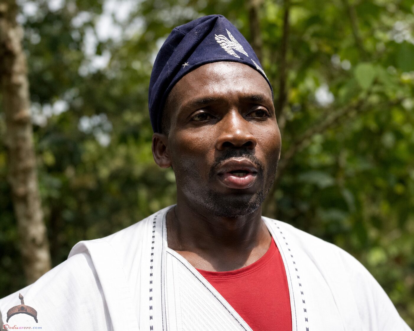 Tani Olohun