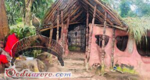 osun oshogbo festival 2026