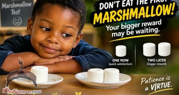 Marshmallow Test