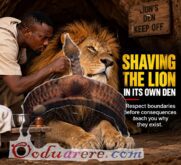 Shaving The Lion In Its Own Den Don’t Mistake Silence For Weakness