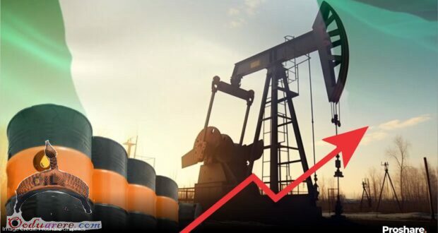 crude oil